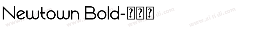 Newtown Bold字体转换